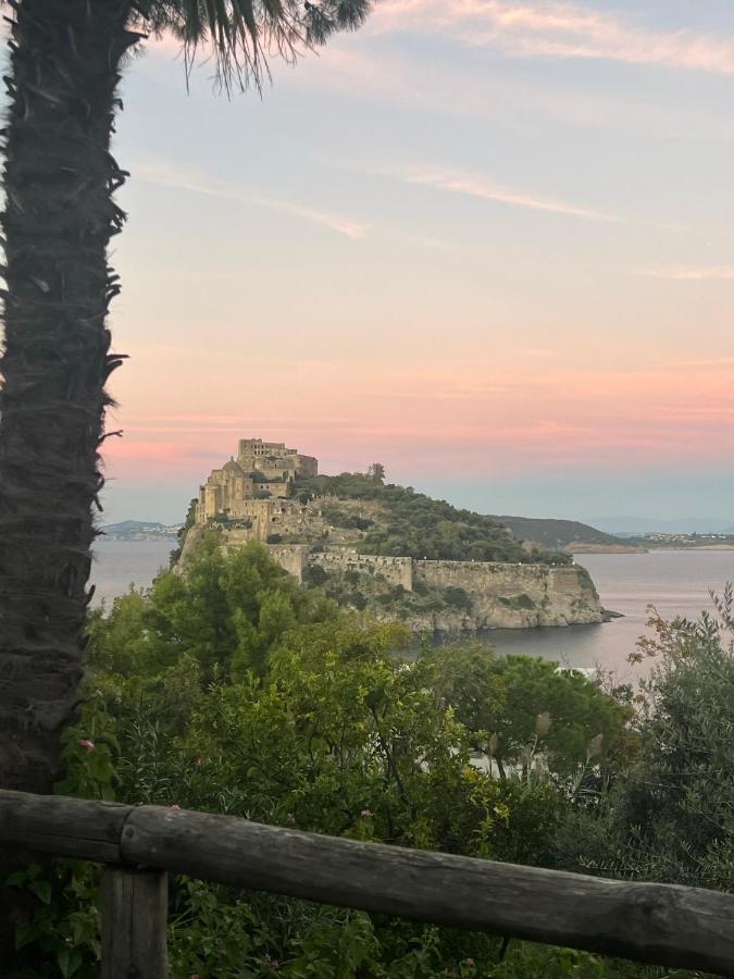 Villa To Ischia With Love Exterior foto